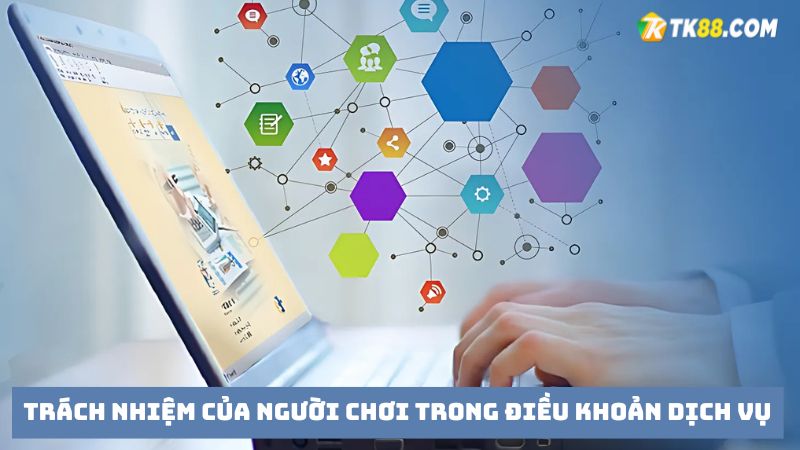 Trách nhiệm của hội viên trong chính sách điều khoản dịch vụ 